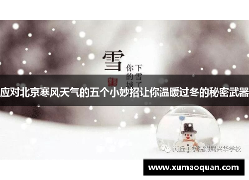 应对北京寒风天气的五个小妙招让你温暖过冬的秘密武器