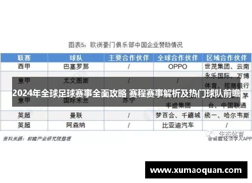 2024年全球足球赛事全面攻略 赛程赛事解析及热门球队前瞻